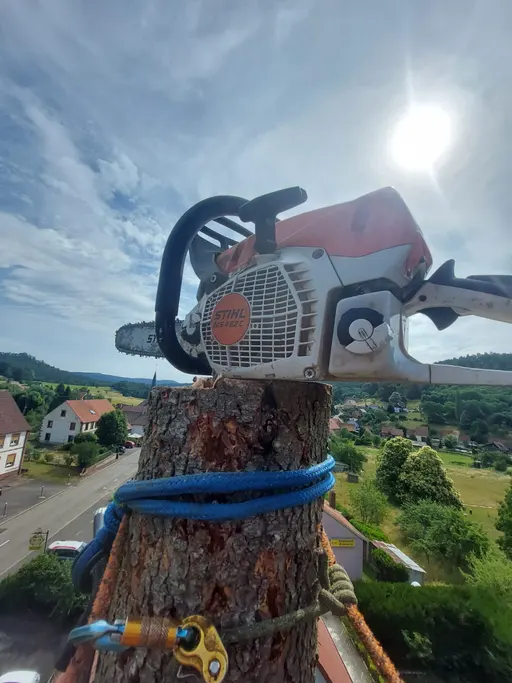 Établi de l'Élagueur