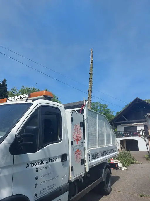 Camionnette de l'Élagueur