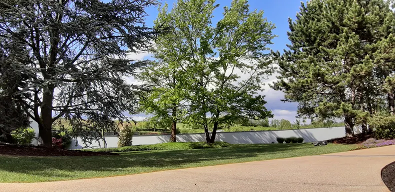 Gestion des Arbres en Limites de Propriété