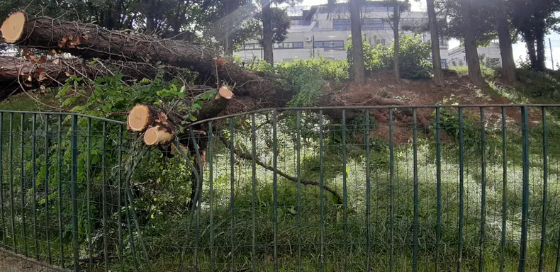 Taille de Mise en Sécurité